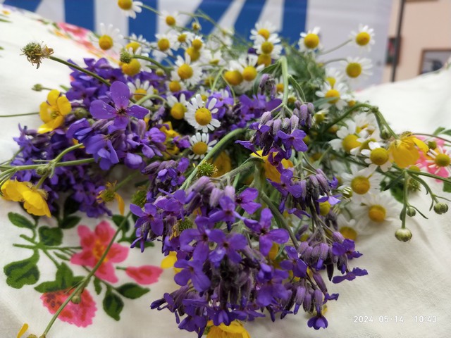 festival 4