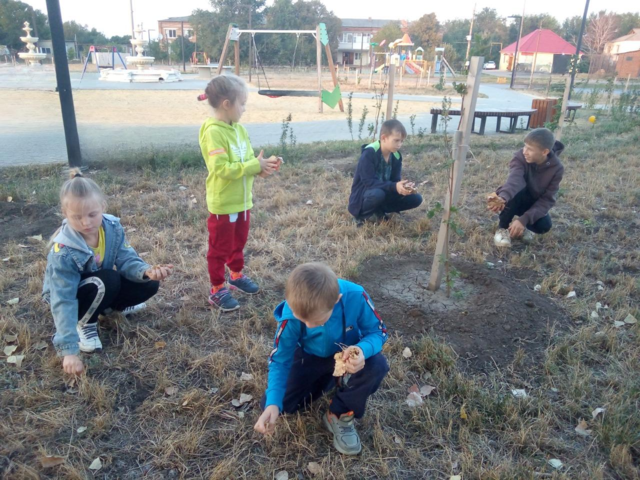 Акция «Чистота вокруг – дело наших рук»
